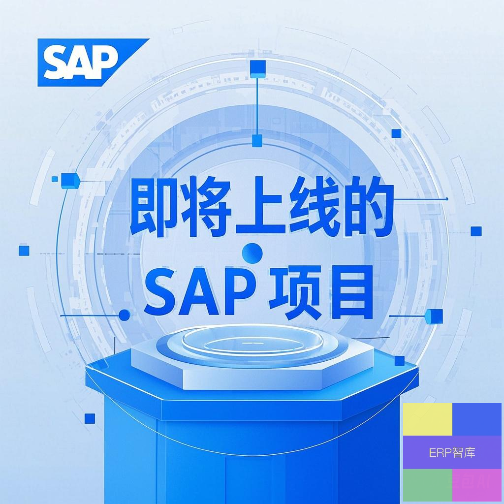 2025 年確定要上線或正在進(jìn)行招標(biāo)的 SAP 項(xiàng)目