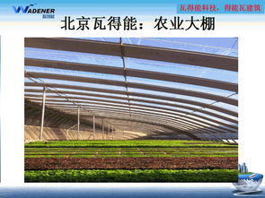 得能瓦 技術剖析與建筑應用案例
